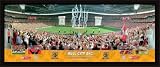 Hull City A.F.C. Framed 30x11 Panoramic Photograph
