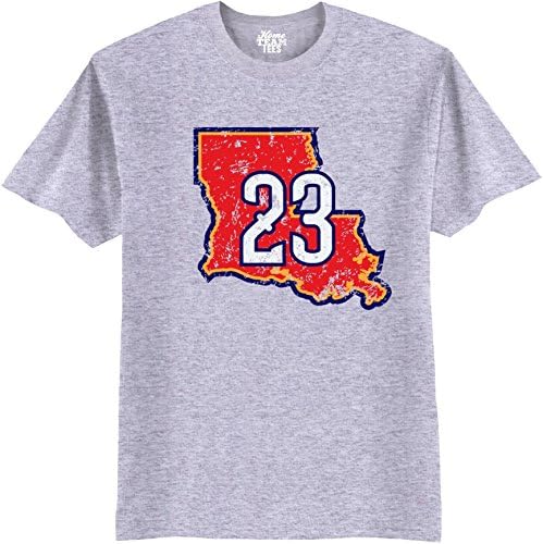 NBA State Home Team Tee Men's Basketball T-Shirt Anthony Davis Grey L