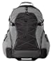 Tenba 632-332 Shootout Large Backpack with Wheels (Silver/Black)