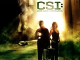 CSI: Crime Scene Investigation, Season 09