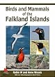 Birds and Mammals of the Falkland Islands