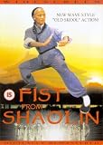 Review Eastern Heroes Ltd.  / Fist From Shaolin [2002]