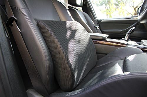 Lumbar Support by Posturex - Premium Grade Memory Foam, Quality 3d Mesh Fabric for Superior Comfort, Black also in Blue