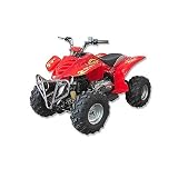 150cc ATV Big Wheels, New Bigger Size, New Upgraded Air Shocks!