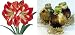 Outdoor Living : Amaryllis, Happy Memory (3 Bulbs)