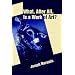 What, After All, Is a Work of Art?: Lectures in the Philosophy of Art