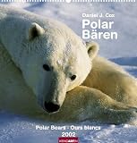 Kalender, Polar-B&auml;ren - 
