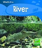 What is a river?