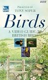 Review 2 Entertain Video  / A Video Guide To British Birds