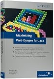 Maximizing Web Dynpro for Java