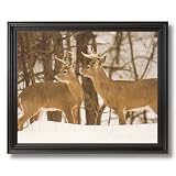 Two Large Whitetail Buck Deer In Snow And Trees Animal Wildlife Home Decor Wall Picture Black Framed Art Print