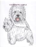 West Highland Terrier - Double Image by Cindy Farmer