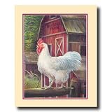 Rooster Chicken Barn Farm Country Home Decor Wall Picture 16x20 Art Print