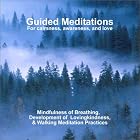 Guided Meditations: For Calmness, Awareness, and Love by Bodhipaksa