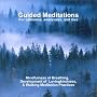 Guided Meditations: For Calmness,Awareness & Love