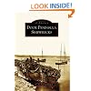 Door Peninsula Shipwrecks  (WI)   (Images of America)