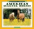American Quarter Horses (Majestic Horses)