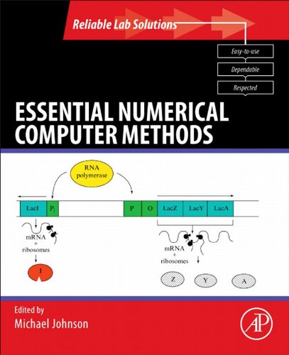 Essential Numerical Computer Methods (Reliable Lab Solutions)