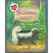 Sassafras