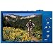 Canon PowerShot ELPH 520 HS 10.1 MP CMOS Digital Camera with 12x Ultra Wide-Angle Optical Image Stabilized Zoom Lens and Full 1080p HD Video (Blue)