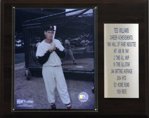 MLB Ted Williams Boston Red Sox Career Stat Plaque