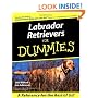 Labrador Retrievers for Dummies