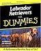 Labrador Retrievers for Dummies
