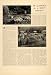 1926 Article Perennial Garden Grace Clark Iris Flower Decor Plant Yard Landscape - Original Print Article