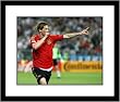 Fernando Torres Spain National Team Framed 8x10 Photograph 2008 Euro Champs Goal Celebration