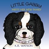 Cover of Little Gabby Meets Her New Family by K.R. Watson 1438917678