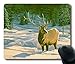 New Illustration Painting 16 Birds Oblong Mouse Pads/ Standard Rectangle Gaming Mousepad in 9