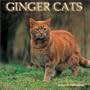 Ginger Cats 2008 Wall Calendar