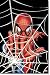 Spider-Man - Web Wall Poster