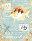 51ROQ8Mt6wL. SL160  Maritime   mini by Paul Brent. CANVAS with 3/4 inch bars. 8.00 inches width by 10.00 inches height. Highest Quality Art Poster Print