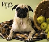 For the Love of Pugs 2009 Calendar