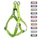 Pawtitas Green Dog Harness - Adjustable, Reflective Step-in Harness for Large Dogs & Puppies