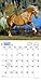 Horse Lovers 2017 Calendar
