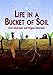 Life in a Bucket of Soil (Dover Children's Science Books)