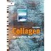 Collagen: Alterungseffekt, Rost & Patina