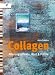 Collagen: Alterungseffekt, Ros