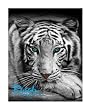 White Tiger Family Size Towel