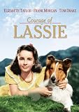 Courage of Lassie