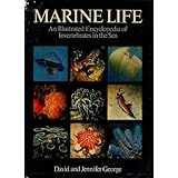 marine life an illustrated encyclopedia of invertebrates in the sea