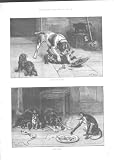 ROBBERY WITHVIOLENCE, PETTY LARCENY, DOGS FINE ART1884