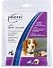 Dog Training Remote Spray Collar Multivet Petsafe Innotek Spray Commander
