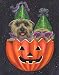 Cairn Terrier Halloween Pumpkins Garden Flag