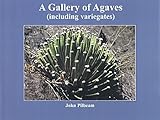 A gallery of agaves : (including variegates)