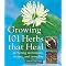 Grow An Interesting Herb Garden