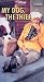My Dog, the Thief [VHS]
