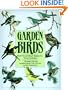 Garden Birds: How To Attract Birds To Your Garden